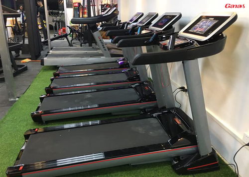 莱卡力健身俱乐部案例 康宜专业健身房器材批发直销